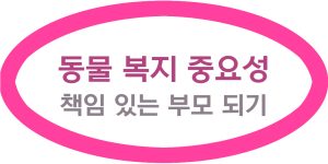 동물 복지